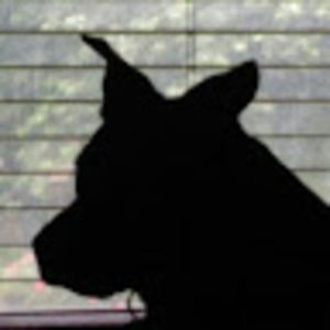 Meet your Posher, Viggophile